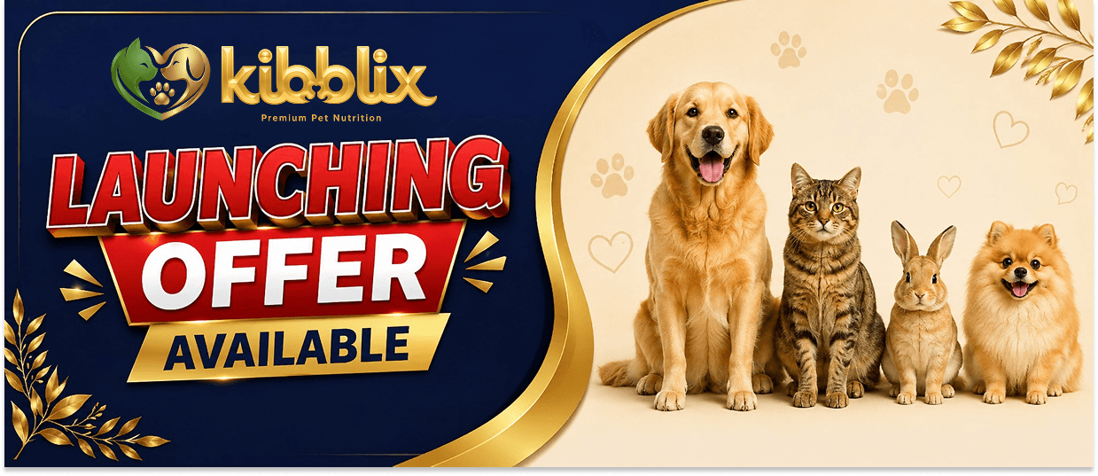 LAUNCHING OFFER BANNER